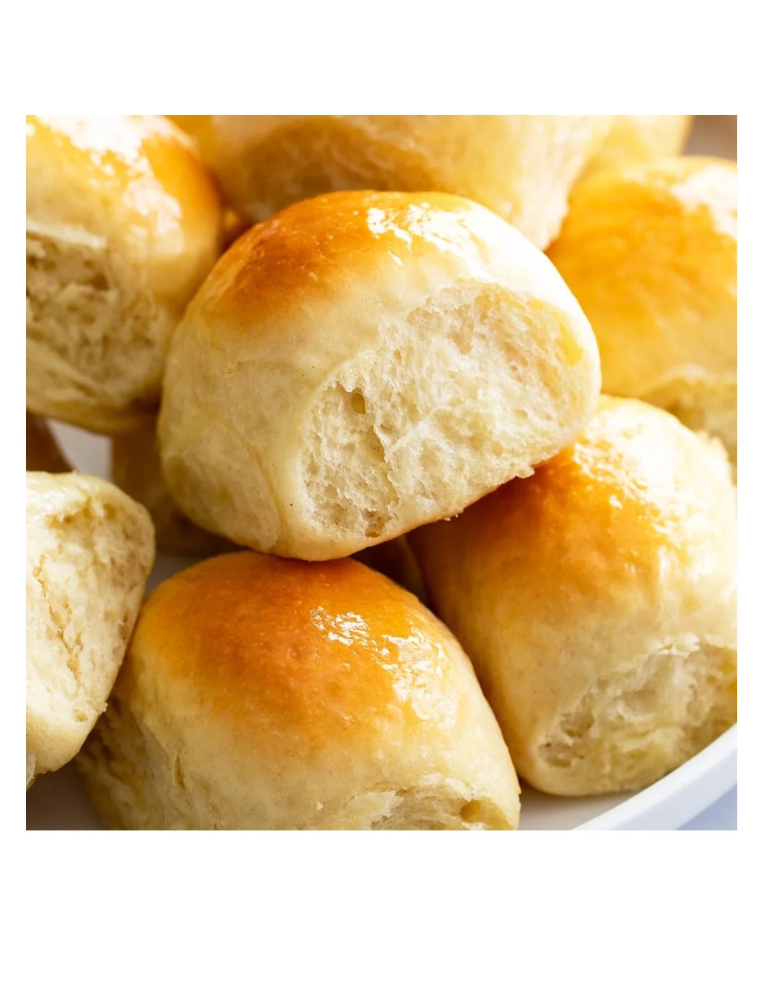 Dinner Rolls